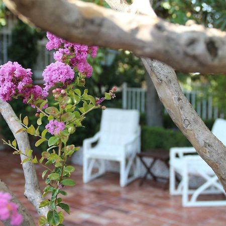 El Jardin De La Abuela Villa Granada Bagian luar foto