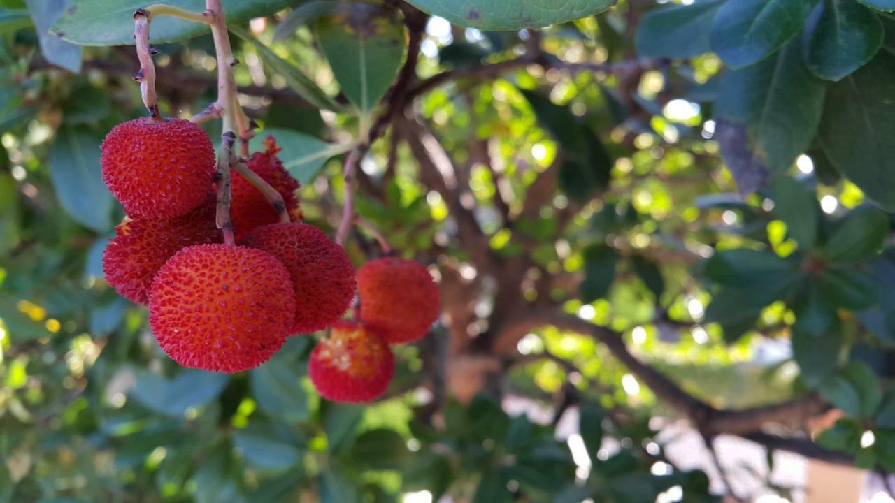 El Jardin De La Abuela Villa Granada Bagian luar foto