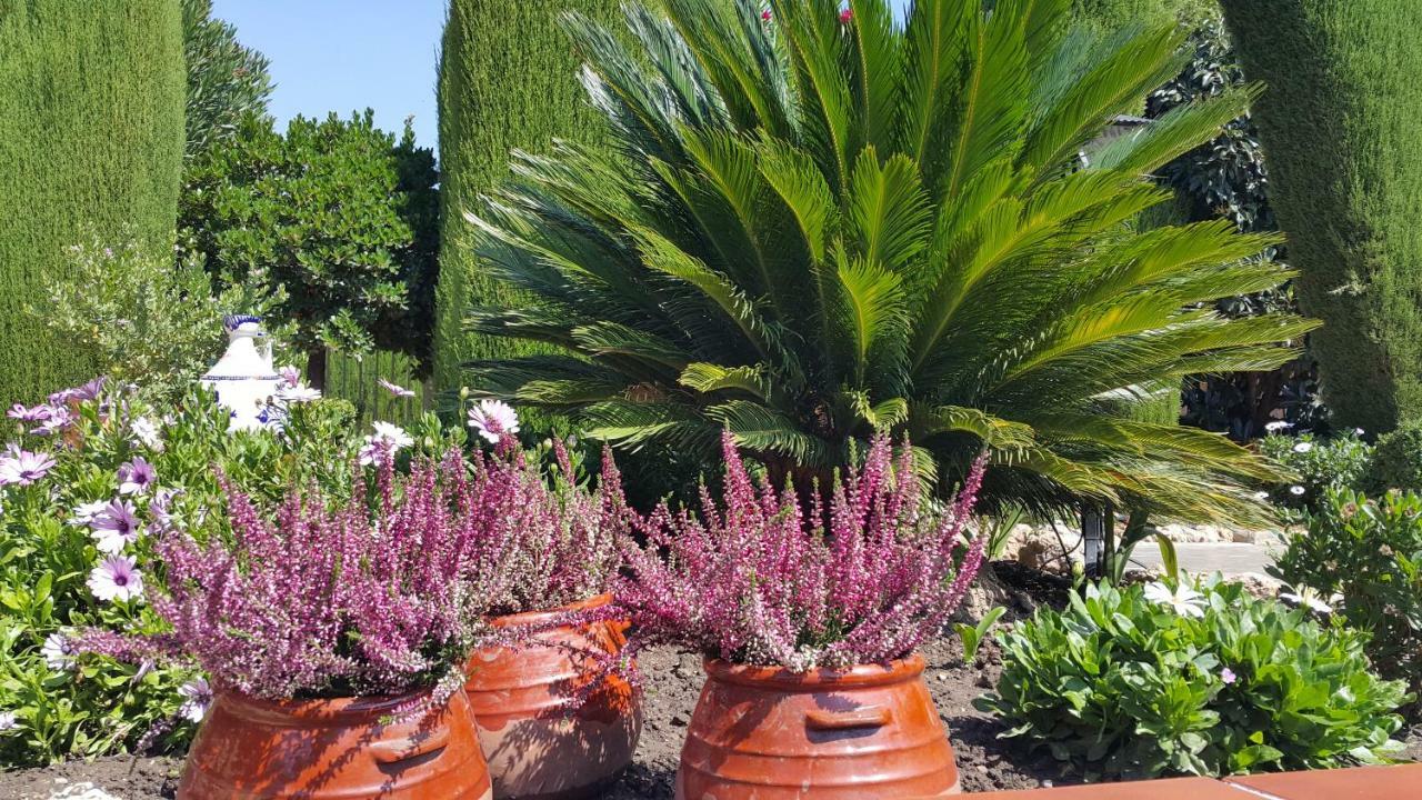 El Jardin De La Abuela Villa Granada Bagian luar foto