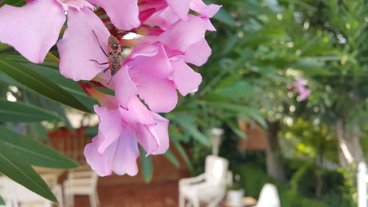 El Jardin De La Abuela Villa Granada Bagian luar foto