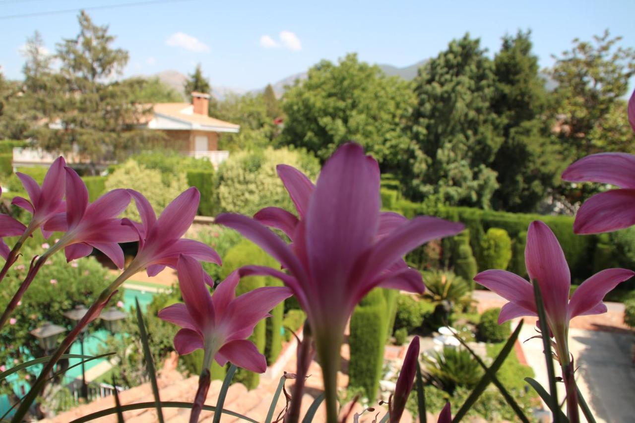 El Jardin De La Abuela Villa Granada Bagian luar foto