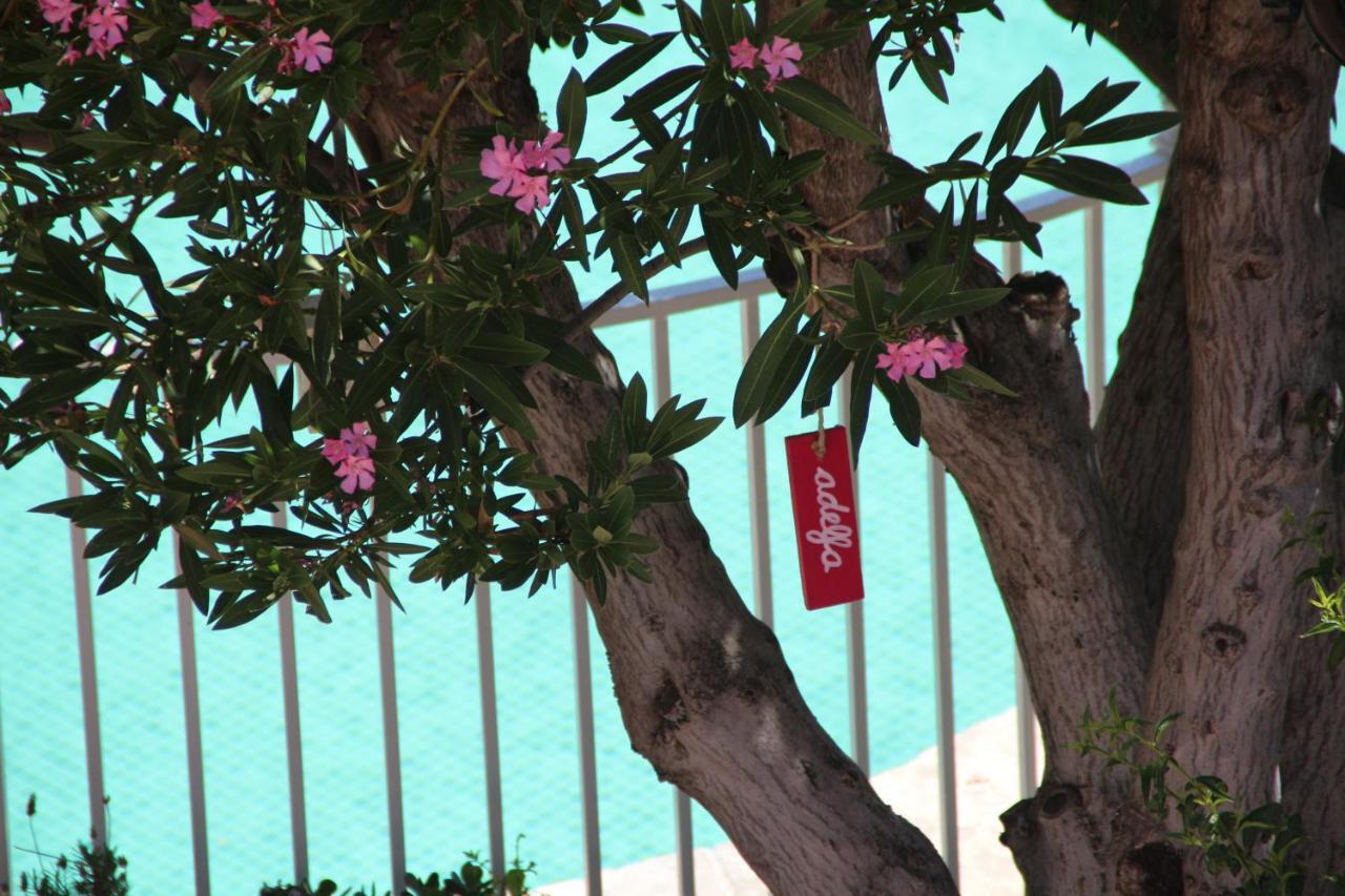 El Jardin De La Abuela Villa Granada Bagian luar foto